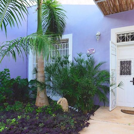 Casa Violeta Villa Merida Ngoại thất bức ảnh