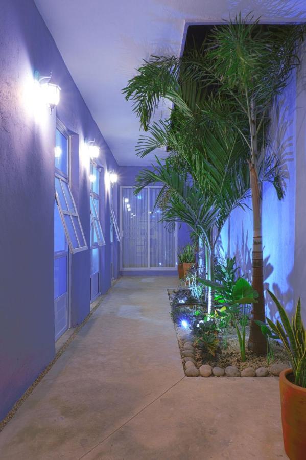 Casa Violeta Villa Merida Ngoại thất bức ảnh